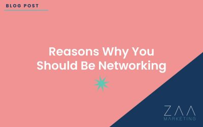 Reasons Why You Should Be Networking